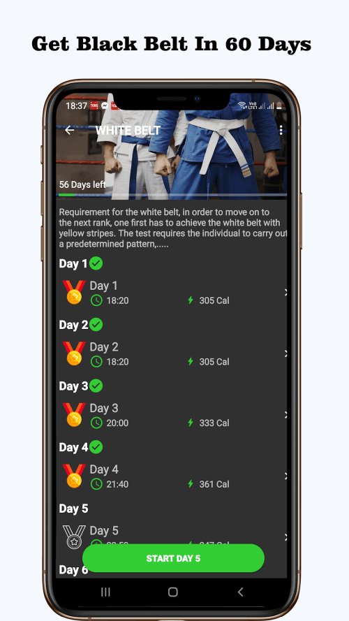 Taekwondo Workout At Home