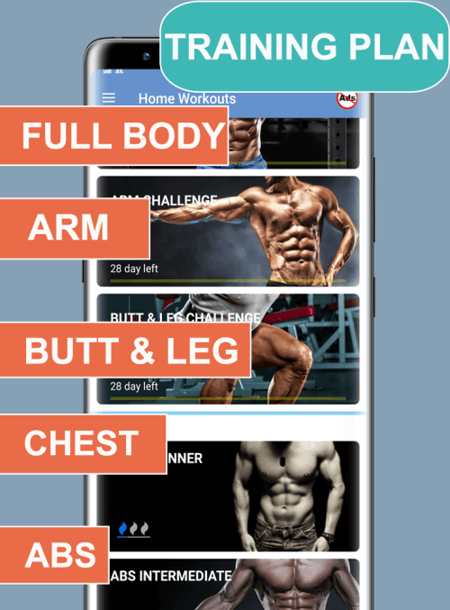 Home Workouts No Equipment Pro